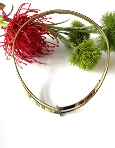 Collier 14k bi-color goud