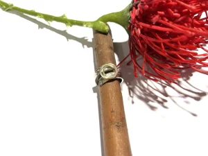 Ring met zilverband en 14 gouden spiraal er boven op